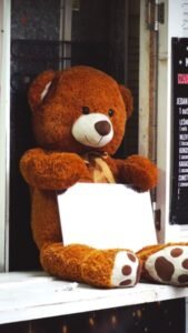Teddy Bear Plush