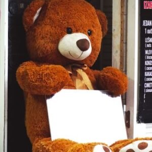 Teddy Bear Plush