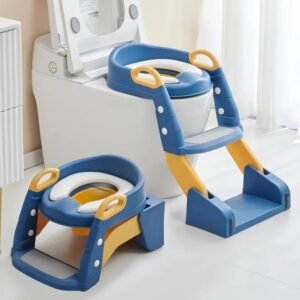 2-in-1 Potty Chair and Toilet Training Ladder